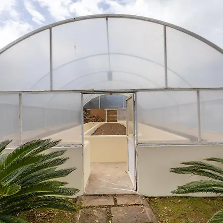 Quinta Da Paz Apartamento 3 Appartement Pico da Pedra